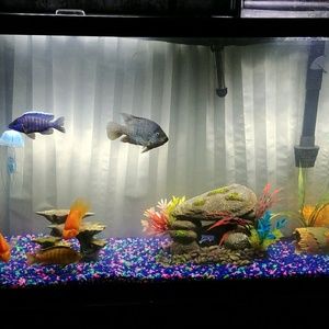 Meet your Posher, Marvin